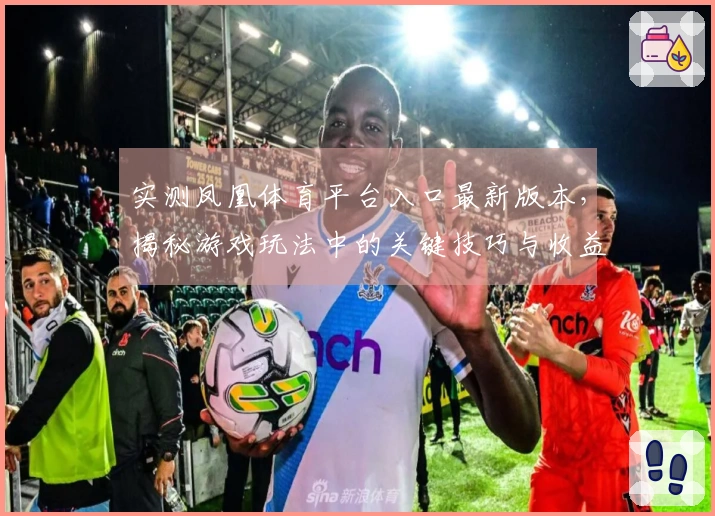 实测凤凰体育平台入口最新版本，揭秘游戏玩法中的关键技巧与收益提升方法