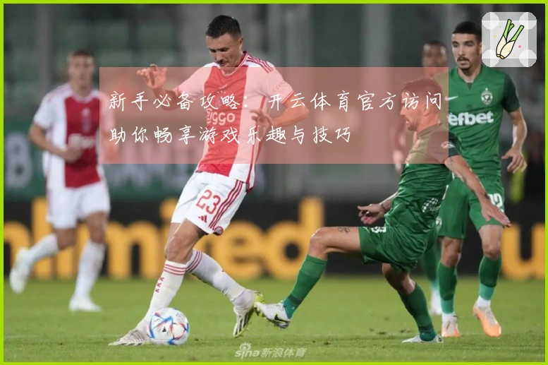 新手必备攻略：开云体育官方访问助你畅享游戏乐趣与技巧