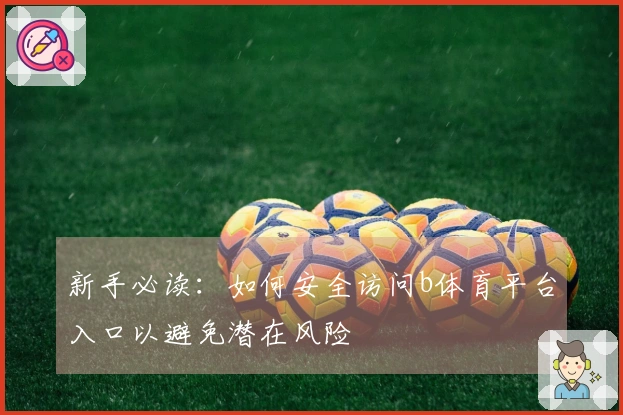 新手必读：如何安全访问b体育平台入口以避免潜在风险