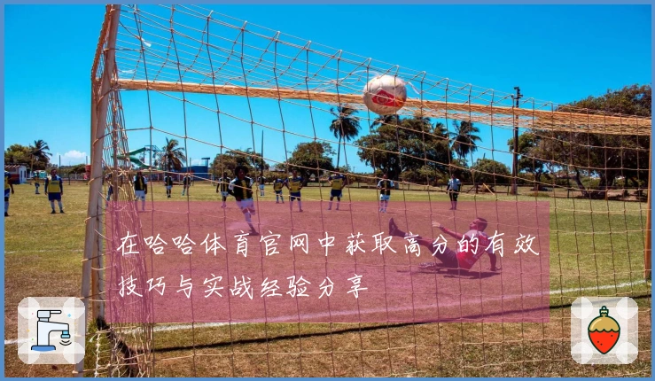 在哈哈体育官网中获取高分的有效技巧与实战经验分享