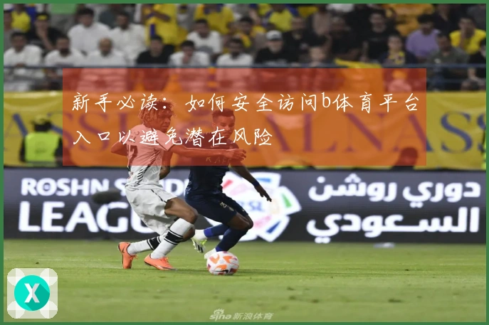 新手必读：如何安全访问b体育平台入口以避免潜在风险
